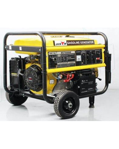 Бензиновий генератор Bison BS6500