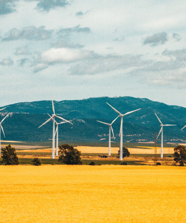 Вітряна енергетика: Майбутнє сталого розвитку та енергетичних рішень