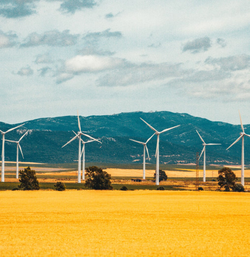 Вітряна енергетика: Майбутнє сталого розвитку та енергетичних рішень