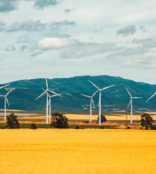 Вітряна енергетика: Майбутнє сталого розвитку та енергетичних рішень