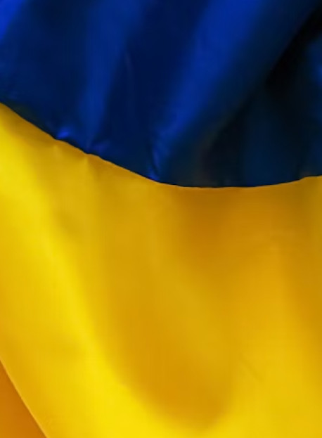 Виконані роботи